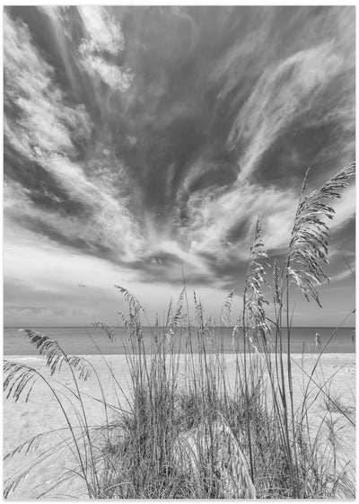 Heavenly monochrome calmness on the beach