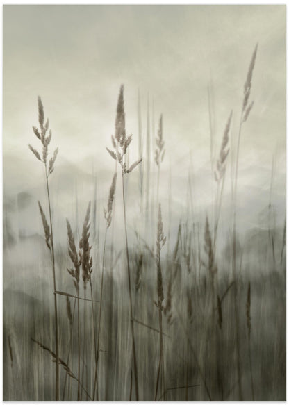 Silent Reeds