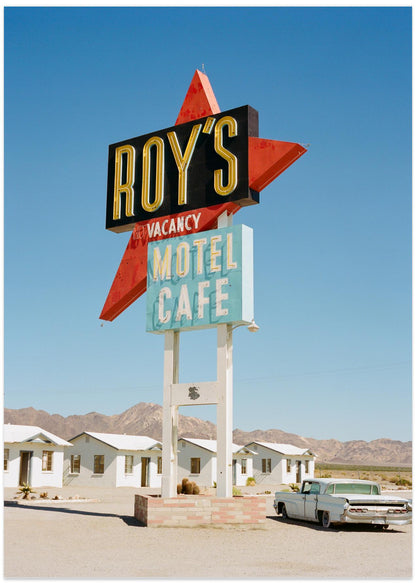 Mojave Desert California IV on Film