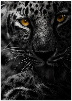 Silent intensity