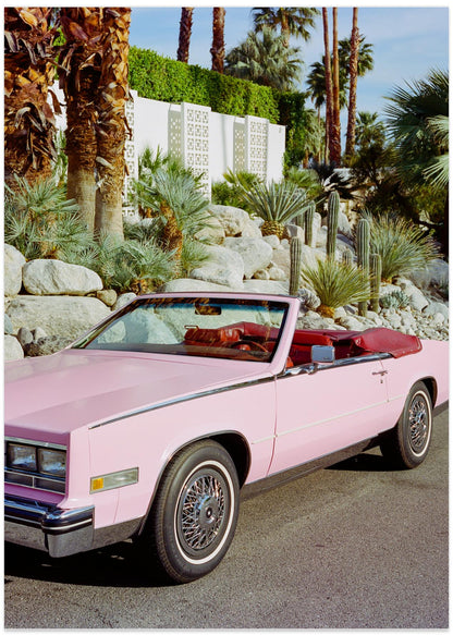 Palm Springs Ride
