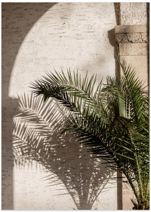 Arched Light 2