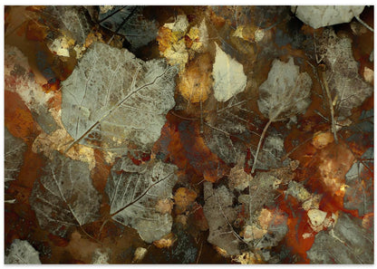 Carpet of leaves