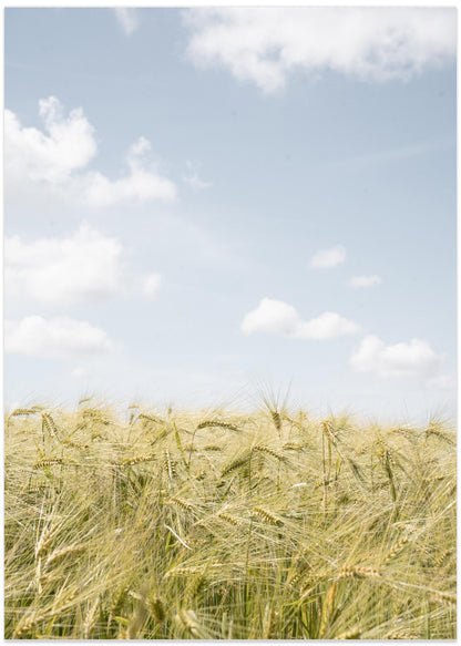 In the Fields