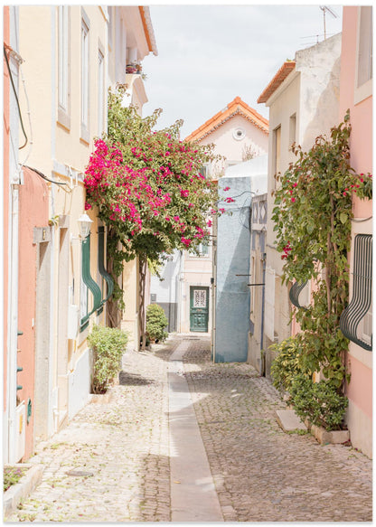 Portugese Street