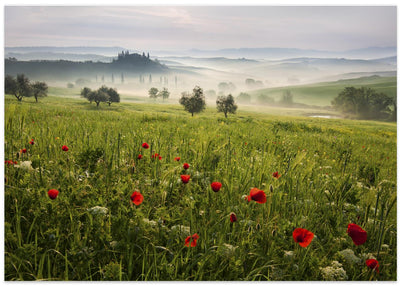 Tuscan spring