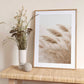Windblown Pampas Grass