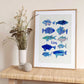 Blue Ocean Fishes