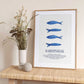 Portuguese Blue Sardines