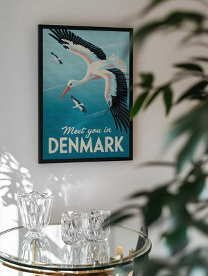 Flying Storks Denmark
