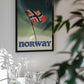 Norwegian Flag Aurora Sky