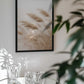 Windblown Pampas Grass