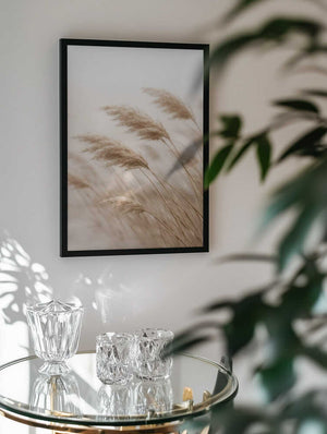 Windblown Pampas Grass