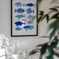 Blue Ocean Fishes
