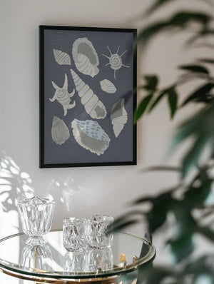 Seashells Collection