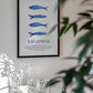 Portuguese Blue Sardines