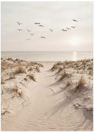 Peaceful Sandy Path