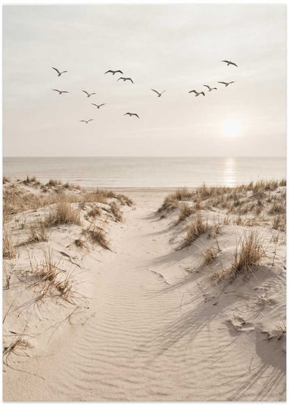 Peaceful Sandy Path
