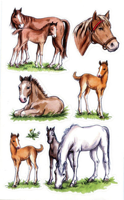 Hester- Klistremerker