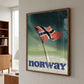 Norwegian Flag Aurora Sky