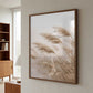Windblown Pampas Grass
