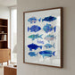 Blue Ocean Fishes