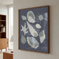 Seashells Collection