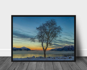 .15 degrees celsius poster - Plakatbar.no