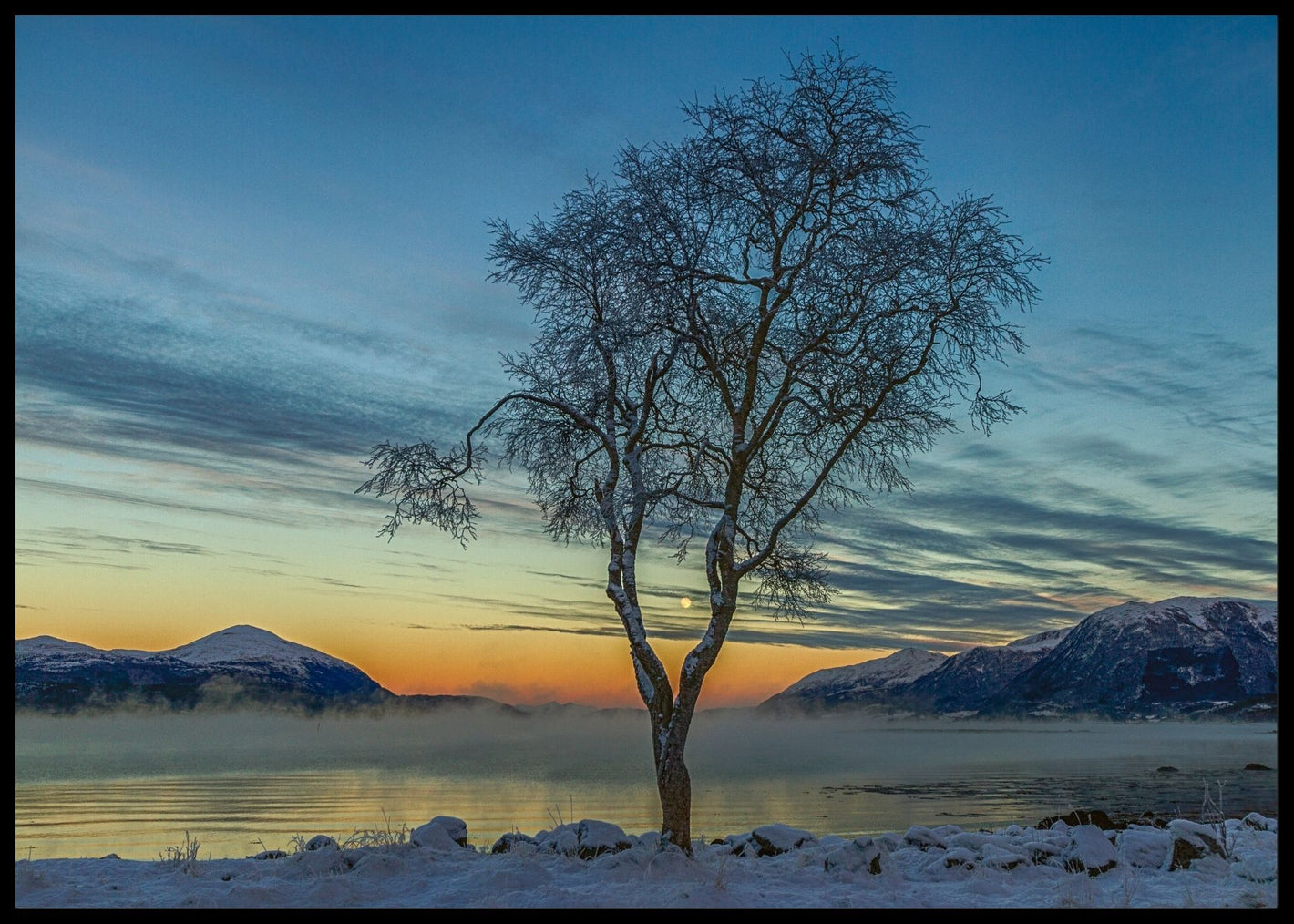 .15 degrees celsius poster - Plakatbar.no