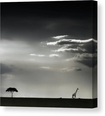 15 minute of happiness på kvadratisk lerret - Plakatbar.no