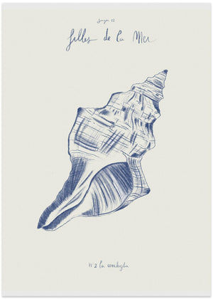 Filles de la mer n.2 - La conchiglia