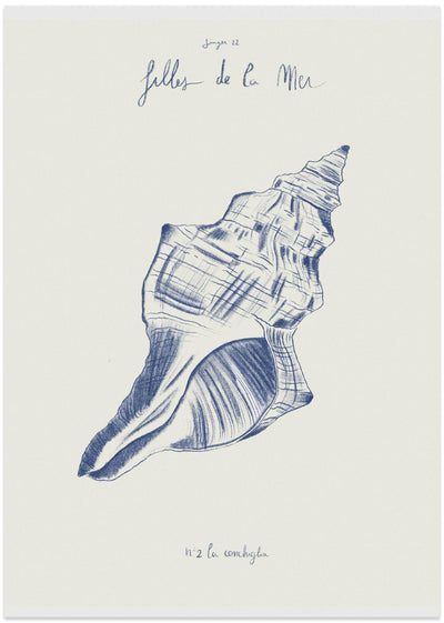 Filles de la mer n.2 - La conchiglia