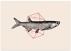 Fish In Geometrics Nº2
