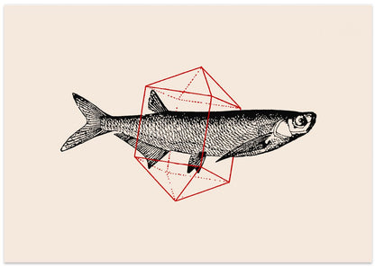 Fish In Geometrics Nº2