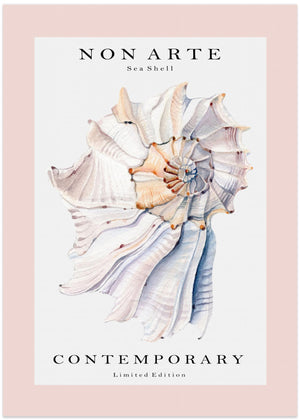 Non Arte Sea Shell no.1