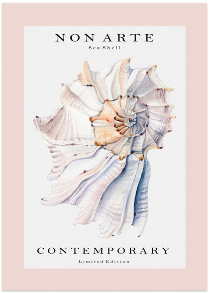 Non Arte Sea Shell no.1