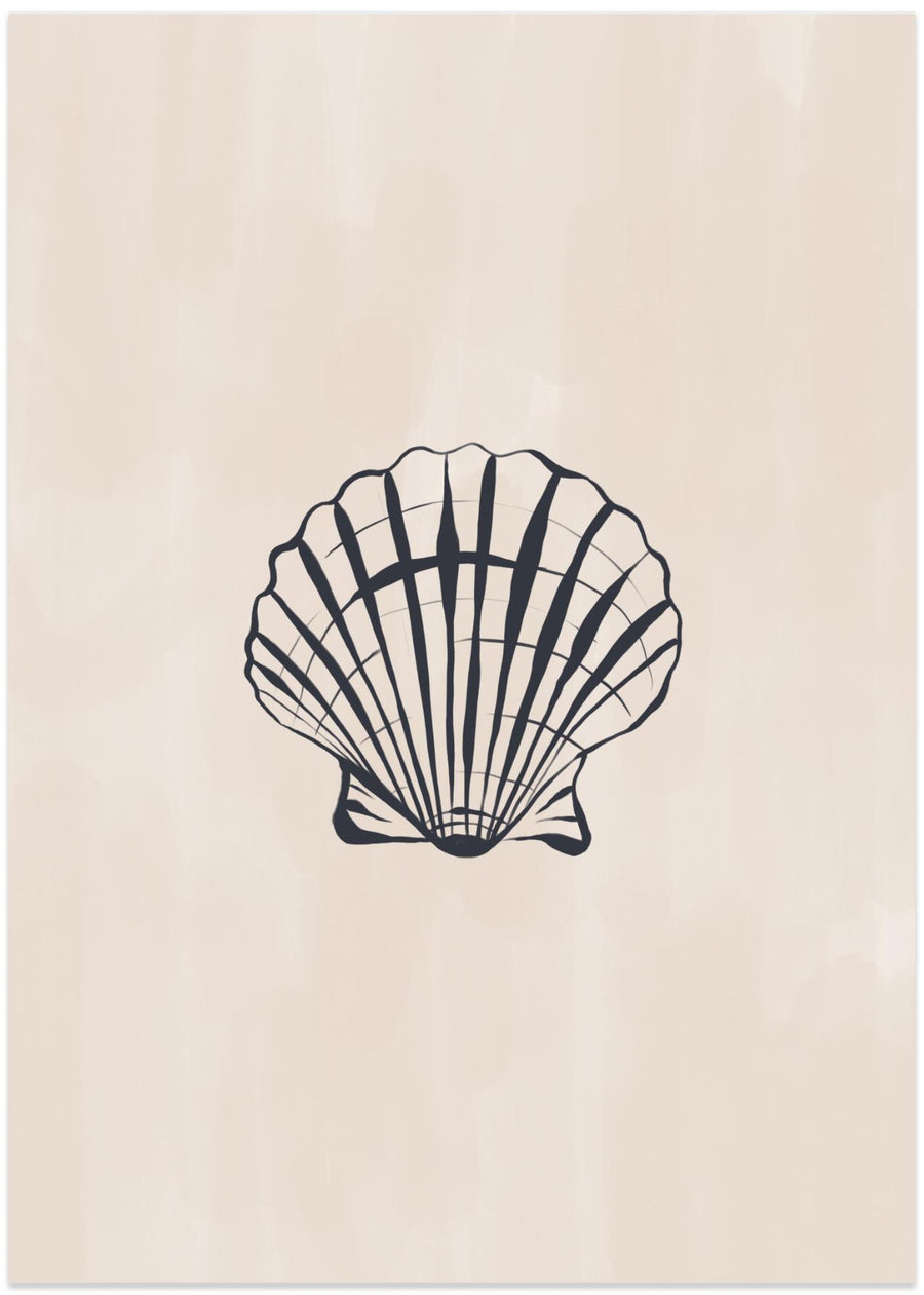 Seashell