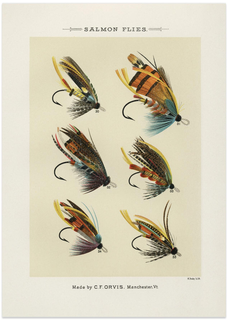 Salmon Fly 1892