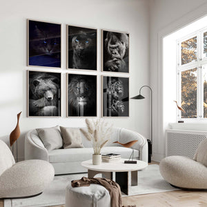 Panther - Blue Eyes Poster