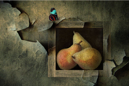 Butterfly still life - Pop Art  poster