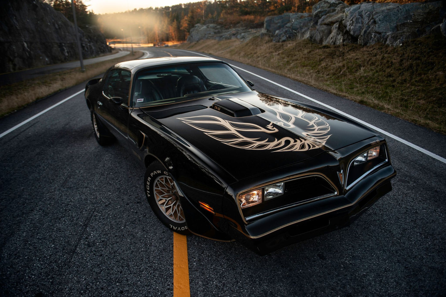 Pontiac Trans AM Firebird bilplakat - Av Kaj Alver