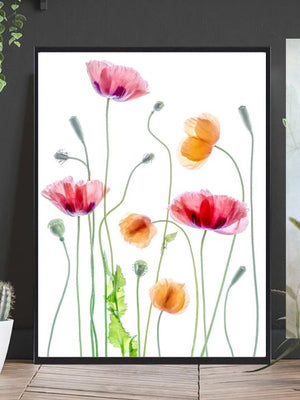 Poppies