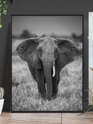 The elephant