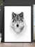 Portrait of a Timber Wolf