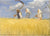 Harvesters - Michael Ancher - plakat eller lerret