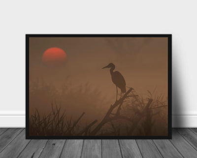 A brand new day poster - Plakatbar.no