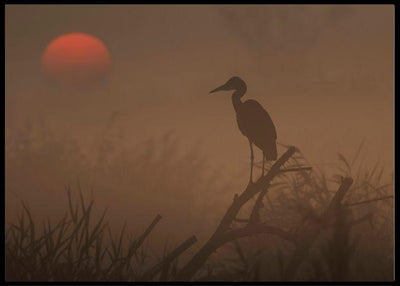 A brand new day poster - Plakatbar.no