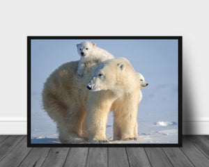 A ride on mums back poster - Plakatbar.no