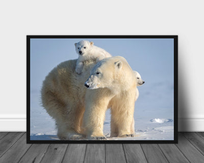 A ride on mums back poster - Plakatbar.no