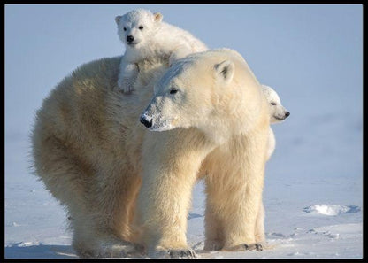 A ride on mums back poster - Plakatbar.no